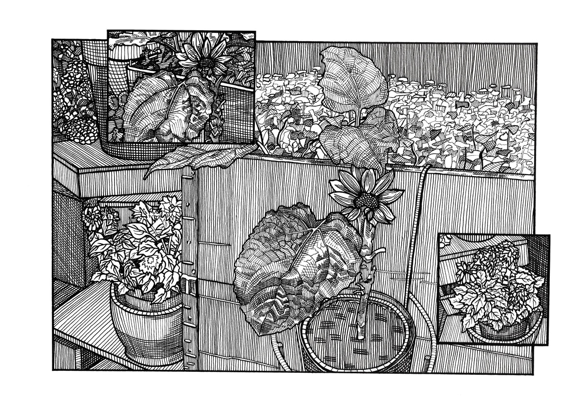 «En mors blomster» / «A Mother’s Flowers»