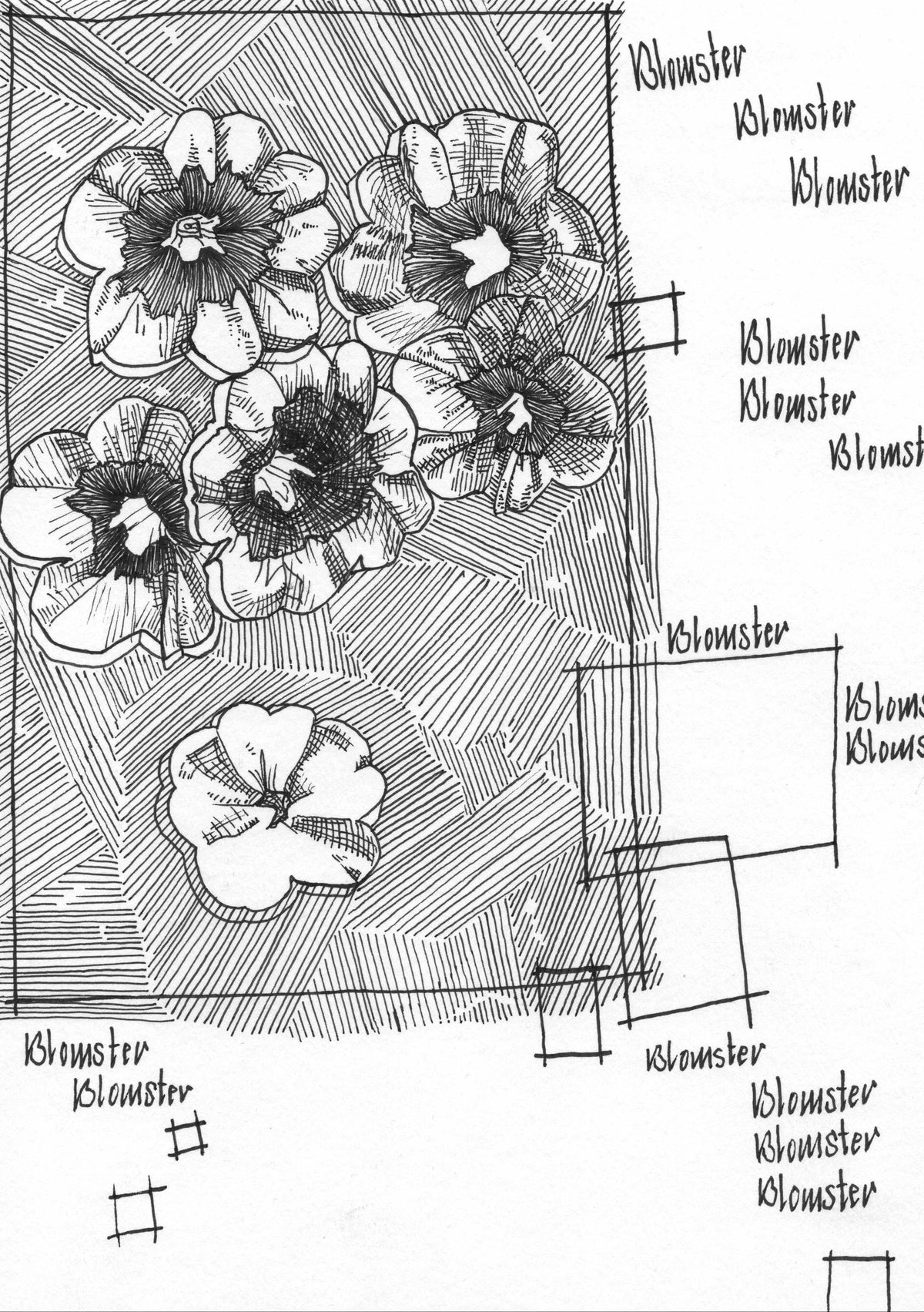 "Blomster" / "Flowers"